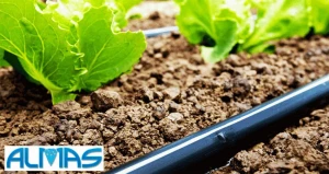 کدام روش آبیاری در صورت اجرای علمی میتواند بهتر باشد