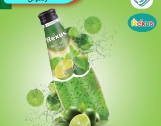 domingo-1733553566954