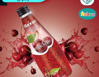 domingo-1733558215857