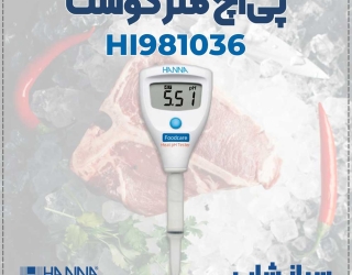 PH متر گوشت HI981036 ضدآب و صنعتی