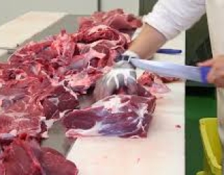 پخش گوشت و مرغ احسان عمده