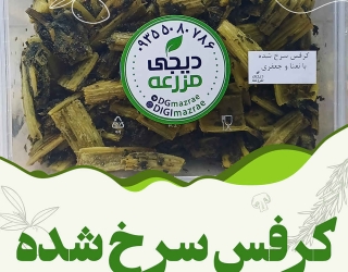 دیجی مزرعه تولید کننده سبزیجات و صیفیجات آماده مصرف