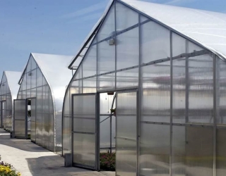 greenhouse4