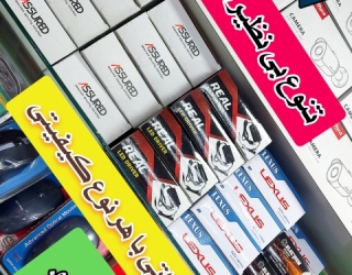 InShot_۲۰۲۲۰۵۰۲_۱۰۳۵۵۸۶۷۶_1731482698818