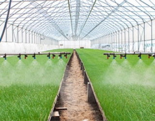 green-house-equepment