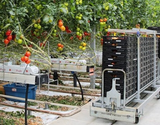 The-cost-of-plasticizing-the-greenhouse