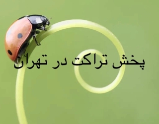 پخش تراکت