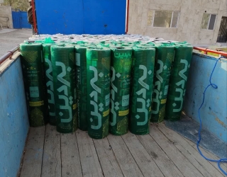 photo16823159897
