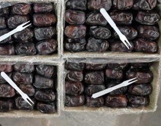 فروش-خرما-مضافتی