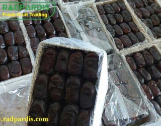 فروش خرما مضافتی صادراتی