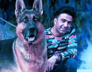 فروش سگ ژرمنشپرد شولاین فروشگاه سگهای گارد