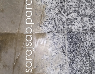 تصویر واتساپ 1404-03-19 در 01.45.30_cc34d9c3