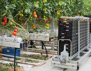 The-cost-of-plasticizing-the-greenhouse