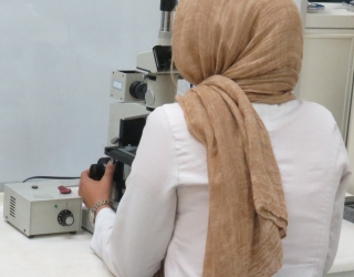 متال