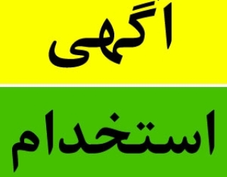 استخدام نیروی دورکار با تسلط حرفه‌ای به زبان‌های خارجی