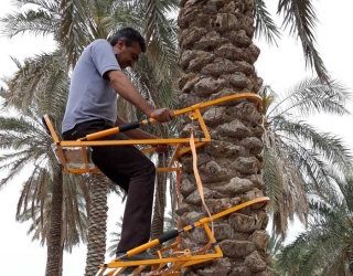 بالابر نخل گلارو LP-60 + کمربند و دستکش رایگان