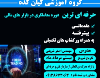 حرفه ای ترین دوره آموزش معاملگری در بازار های مالی بین المللی