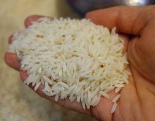بورس برنج هاشمی سامان گیلان 