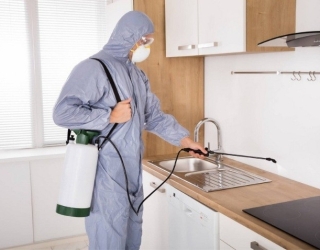 سمپاشی ساس سوسک ریز کابینتی و درشت موش کنه مایت شپش شرکت سمپاشی در مهرشهر کیانمهر فرودگاه پیام کرج