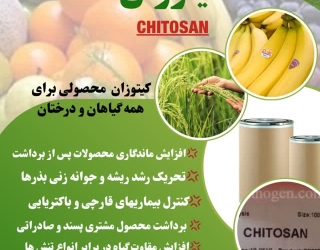 فروش ویژه تنظیم کننده رشد گیاهی کیتوزان (CHITOSAN)