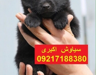 4f357535be0bdca69bfa7b6e896d60cf