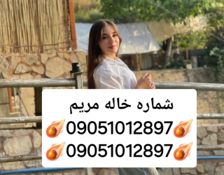 1000028233