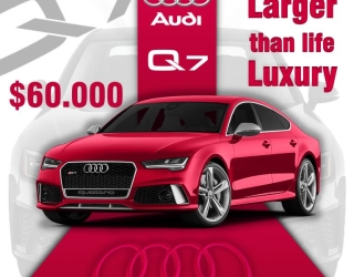 mini_audi