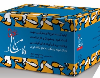 کارتن سبک