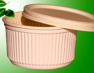 محصولات یکبار مصرف گیاهی