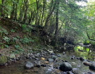 IMG-20250912-WA0040