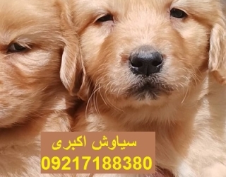 WhatsApp Image 2025-09-17 at 10.43.31 AM