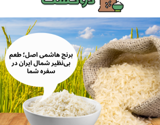 برنج هاشمی اصل؛ طعم بی‌نظیر شمال ایران در سفره شما