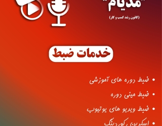 خدمات ضبط