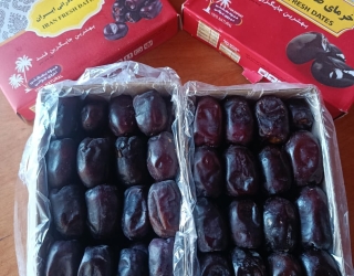IMG-20250919-WA0007(2)