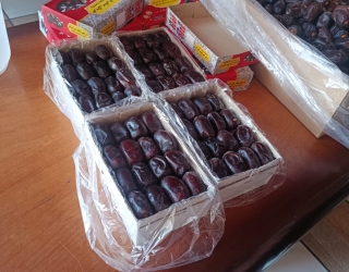 IMG-20250919-WA0008(1)