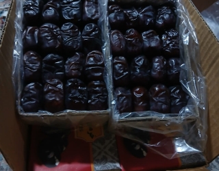 IMG-20250919-WA0010(1)