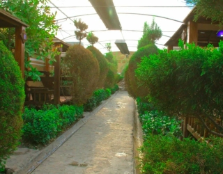 photo21189084613
