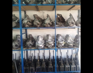 1000024236