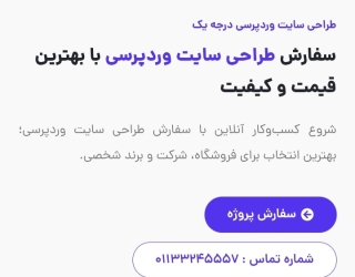 طراحی سایت وردپرسی حرفه‌ای با دوناوب؛ شروعی هوشمند برای رشد کسب‌وکار شما