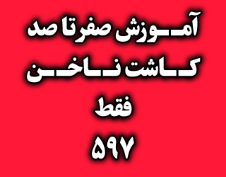 آموزش تخصصی صفر تا صد لاین ناخن 