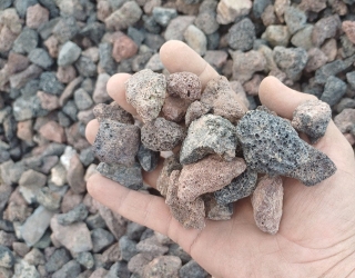 IMG_20250924_140137_272