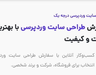 طراحی سایت وردپرسی حرفه‌ای با دوناوب