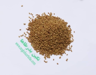 WhatsApp Image 2020-10-12 at 10.14.50 PM (1)