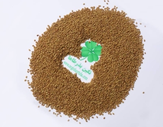 WhatsApp Image 1 jpg