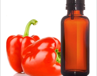 رنگ طبیعی و خوراکی پاپریکا فریر مخصوص آرد سوخاری