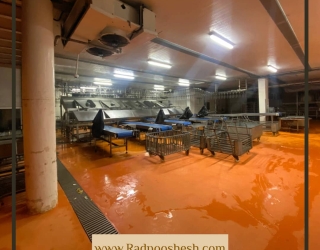 WhatsApp Image 2025-09-28 at 4.44.31 PM