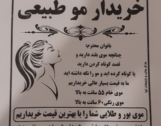 موی طبیعی شما را به بالا ترین قیمت خریدارم 