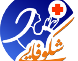 پرستاری و مراقبت از سالمند در منزل شیراز