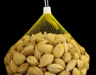 Screenshot_۲۰۲۵۱۰۲۱_۱۸۲۳۳۵_Google