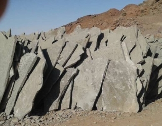 IMG_20250911_110313_129